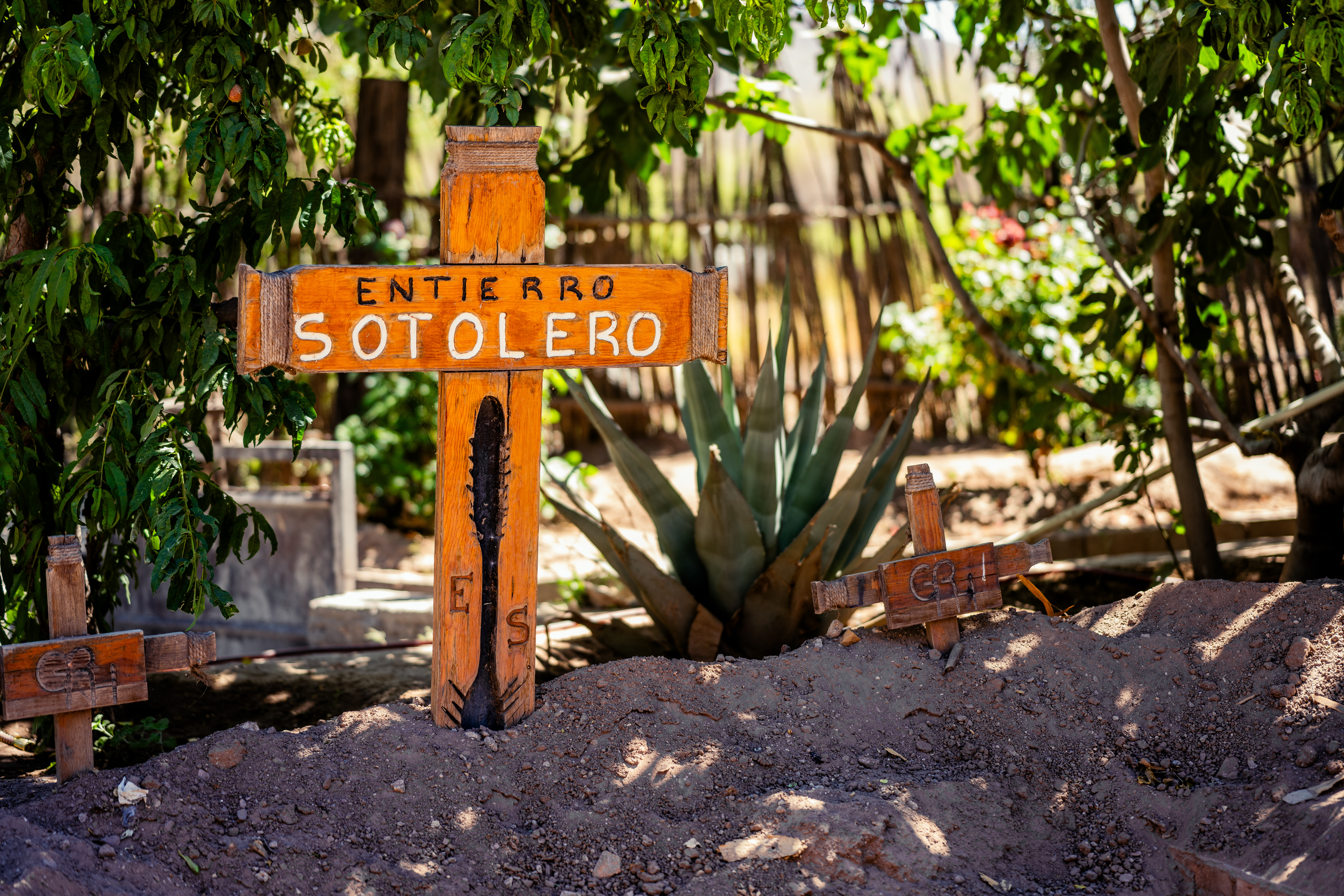 The Entierro Sotolero Festival: Remembering the Spirit in Hiding